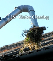 ccs gutter cleaning