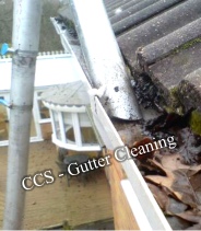 ccs gutter cleaning with vacuuming